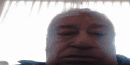 PIZDEC emote