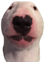 WalterStare emote