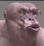 apestrong emote