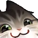 smugcat emote