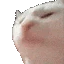 catJAMReversed emote