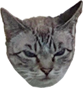 madcat static emote
