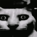catDespair