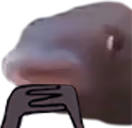 HMMMM emote