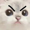 Angy emote