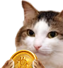 kiisu_crypto emote