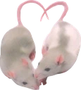ratlove emote