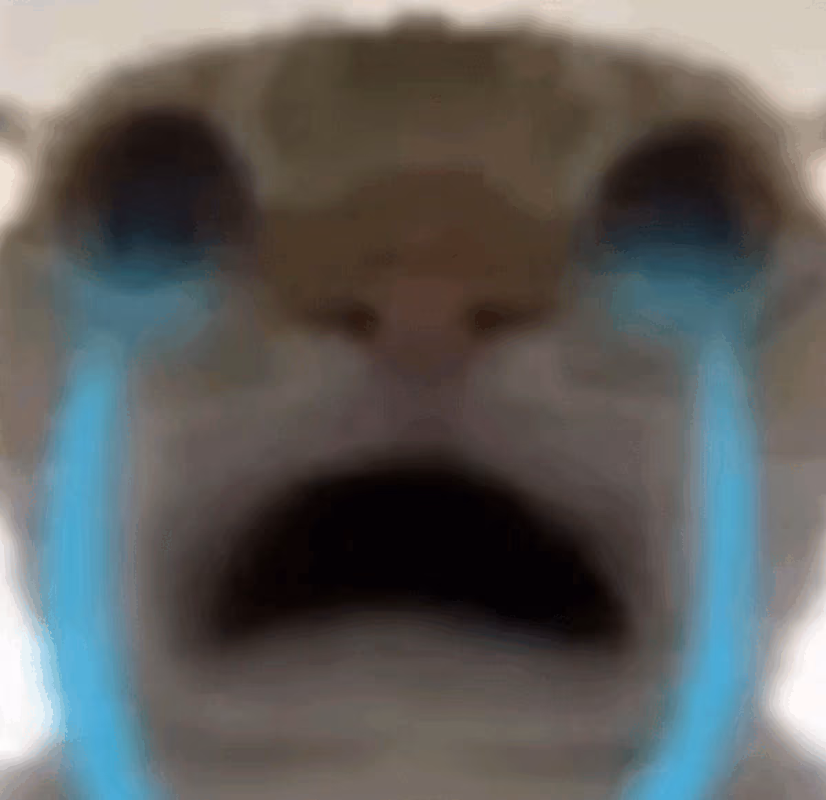 Cryingcat emote