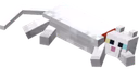 cat emote