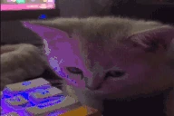 despair emote