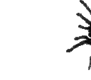 Spider0 emote