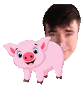 Swinka animated emote