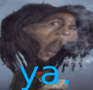 ya emote