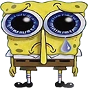 SAJ emote
