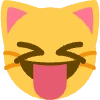 Silly_Cat emote
