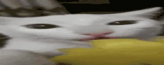 Ananas emote