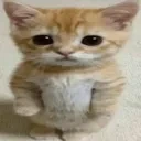 vahue emote