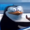 WHAT emote