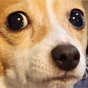 oh emote