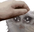 Patpat emote