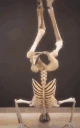 SkeletonPls emoji
