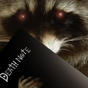 raccoon_deathnote emoji