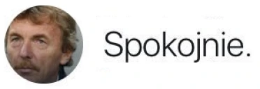 spokojnie emote