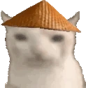 cnCateat emote
