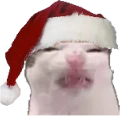 eww emote