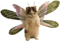 cat_fairy emote
