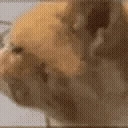 WOT emote