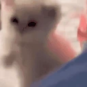 GiveEmTheOlOneTwo emote