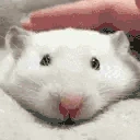 ratKing emoji