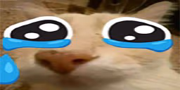otagdaS emote