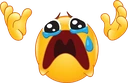 BooHooDontCare emote