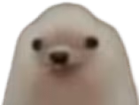 ahmadmuhsint emote