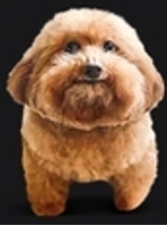 WatonElotero emote