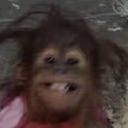 SmileMoneky emote