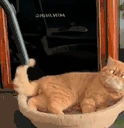 sukkok emote