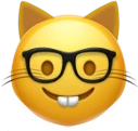 cat_nerd emote