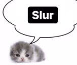Slur emote