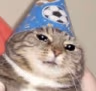 CE_SadWizard emote