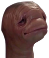 vinny_meat emote