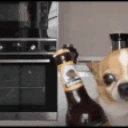BoTomaUma emote