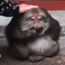 kaaef animated emote