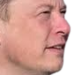elonsus static emote
