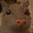 LaCaraDelTobes emote