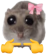 Bitti emote