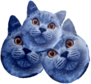 catberries emote