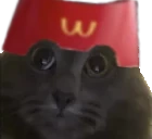 mctuh emote